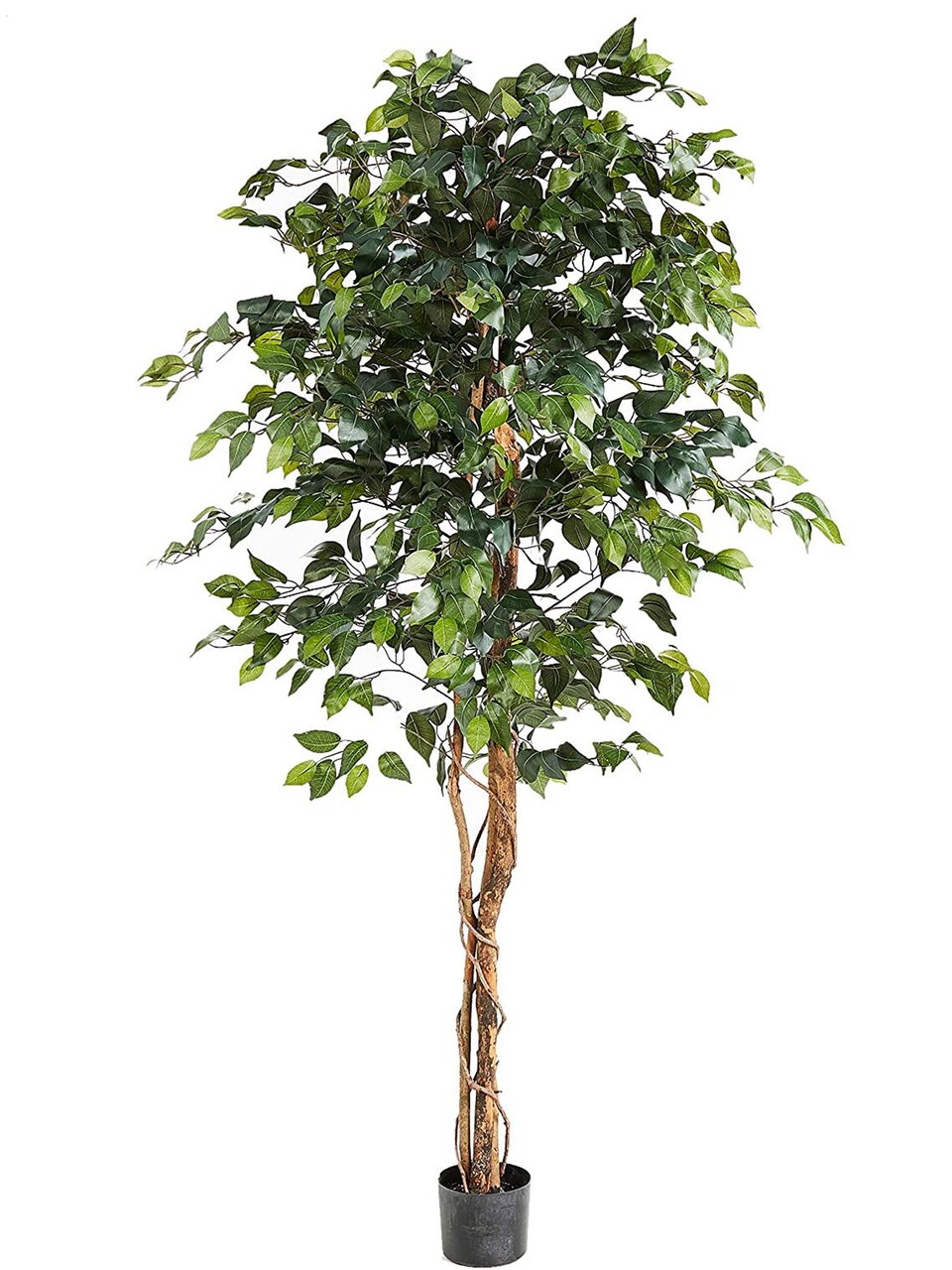 Stunning 6-Foot Artificial Ficus Tree with 1008 Lush Leaves - Elegant Home & Office Decor, Floral Home by Artificial Flowers